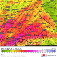 de_model-de-320-1_modezswiss_2023071000_48_38_91